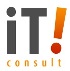 ITI CONSULT